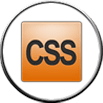 css development company in India