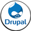 drupal development company in India