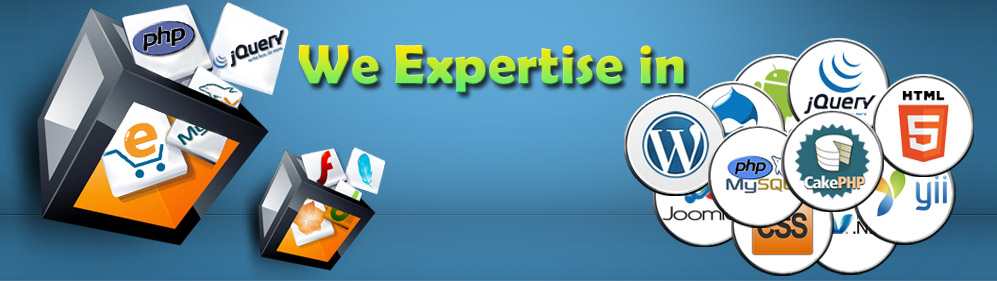 Web Development Company in India | Web Designing Company in India